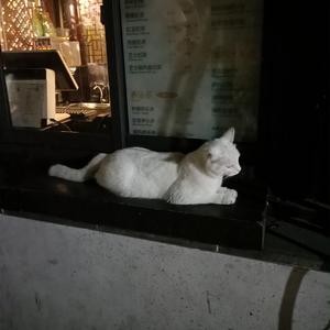 殴美美白老妇大BBooss
