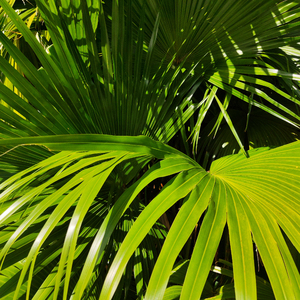 殴美美白老妇大BBooss
