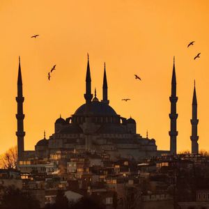 殴美美白老妇大BBooss
